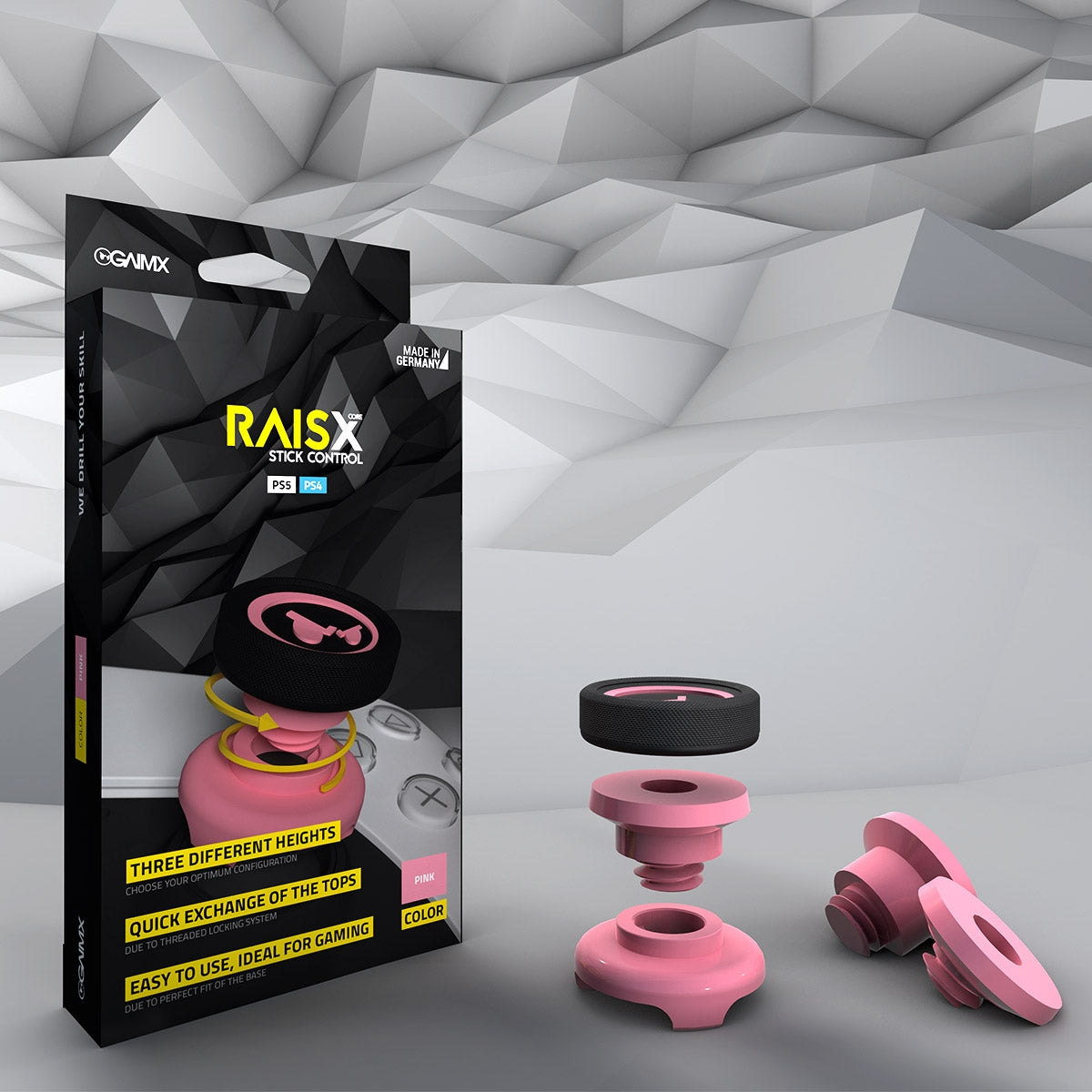 RAISX CORE