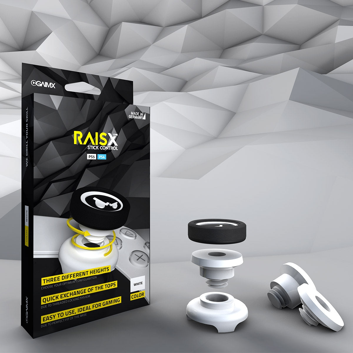 RAISX CORE